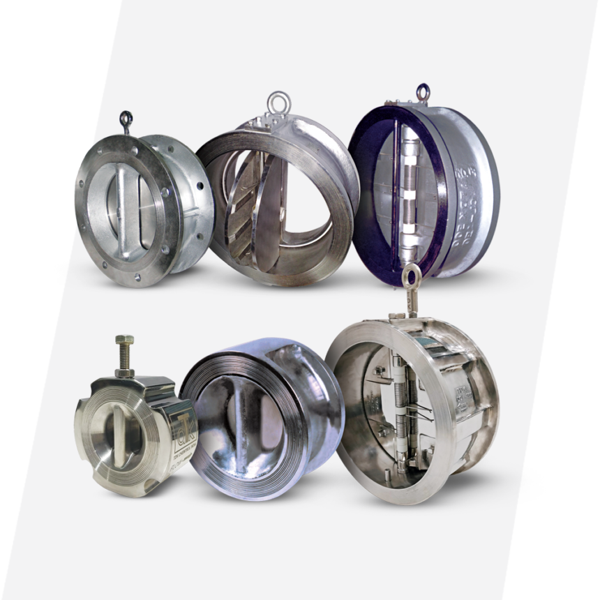 Check Valves Archives - TDK Chemtrol (India)